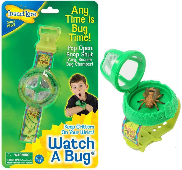 Watch A Bug Live Insect Viewer