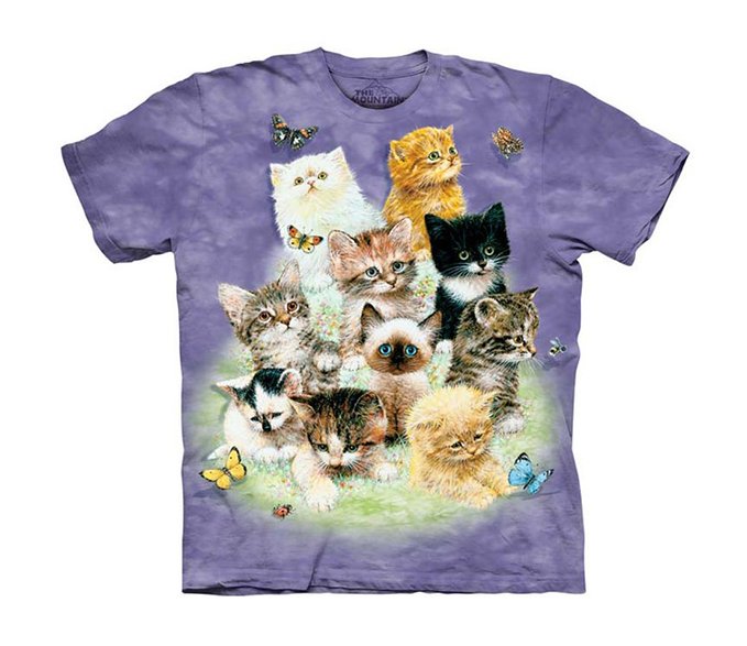 10 Kittens T-Shirt - Child X-Large